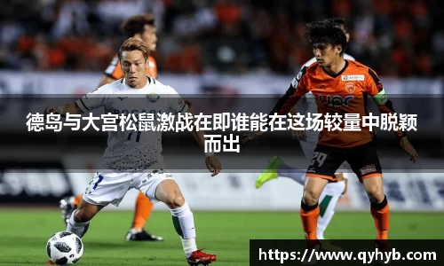 德岛与大宫松鼠激战在即谁能在这场较量中脱颖而出