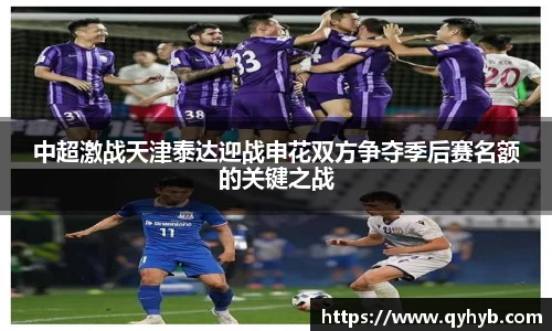 中超激战天津泰达迎战申花双方争夺季后赛名额的关键之战